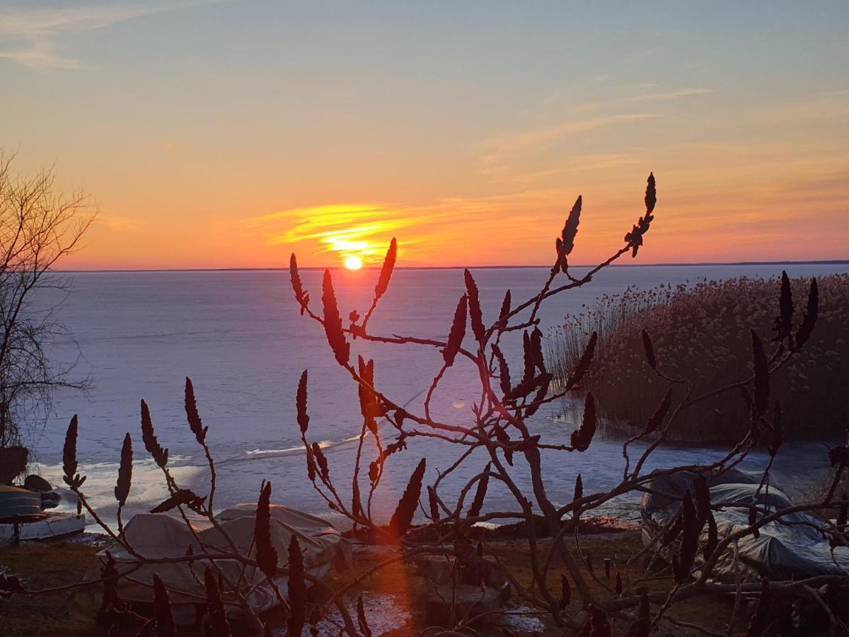 Beztroski Zakatek Nowe Guty Exterior foto